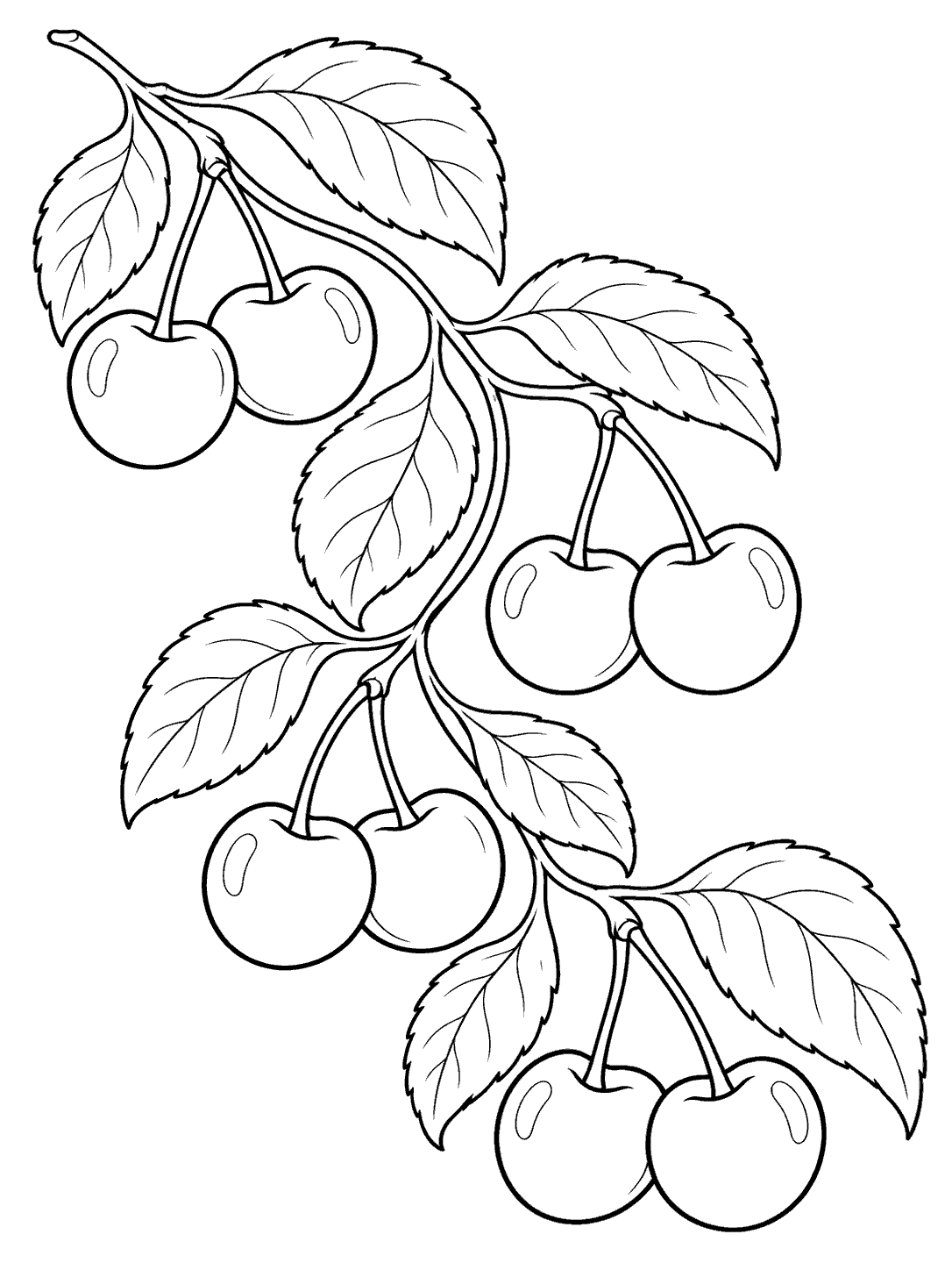 Black outline coloring page of paired cherries and broad leaves arranged along a diagonal vine