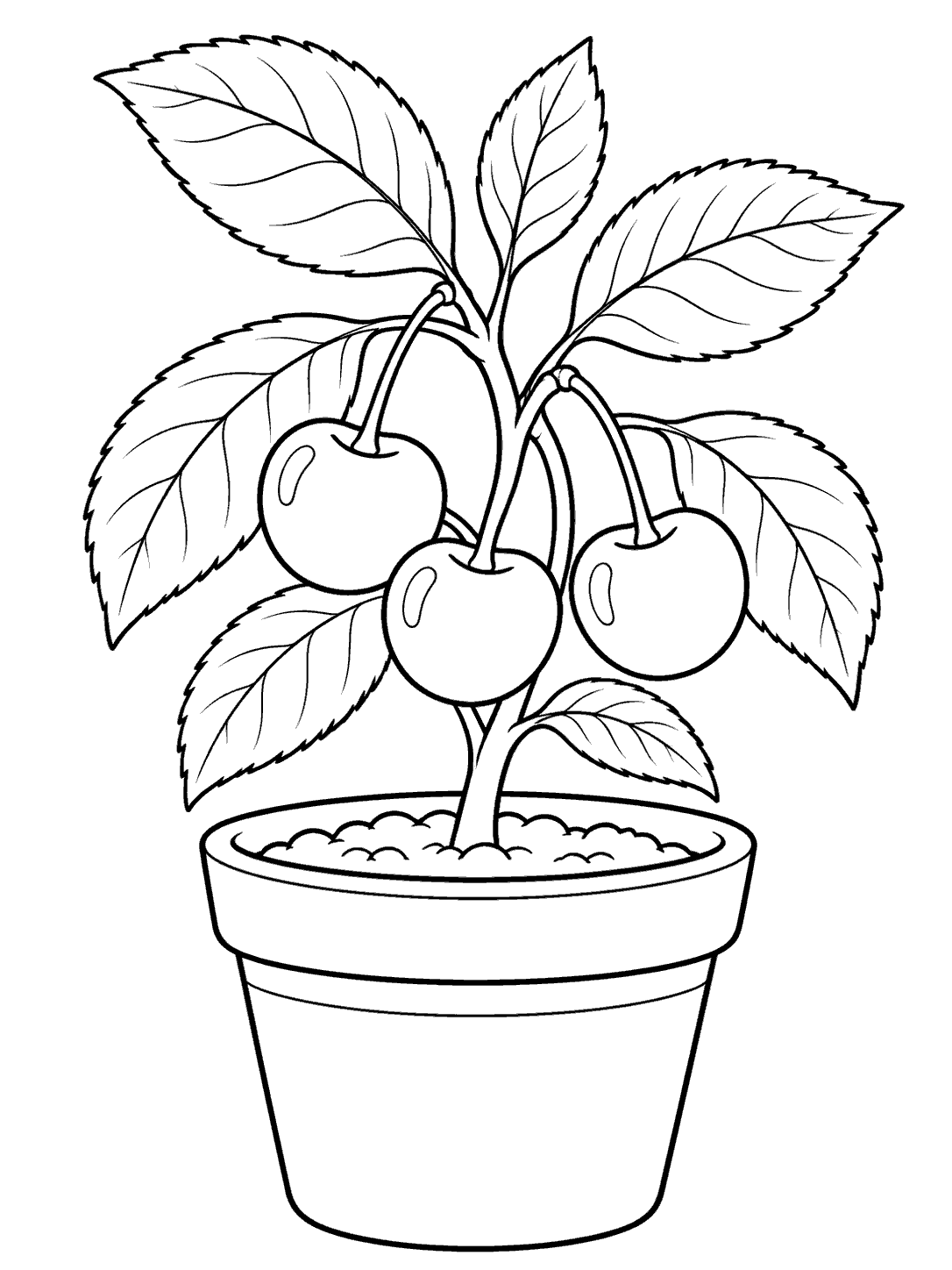 Black-and-white line art of a flowerpot with a leafy cherry plant bearing three cherries.