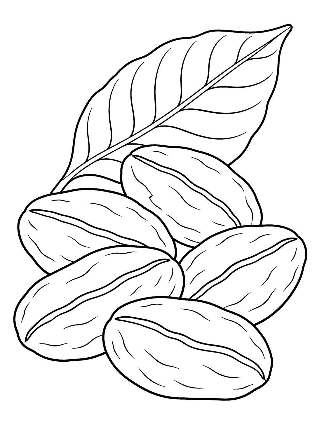 A tidy pile of six cocoa beans with central seams and one broad leaf.