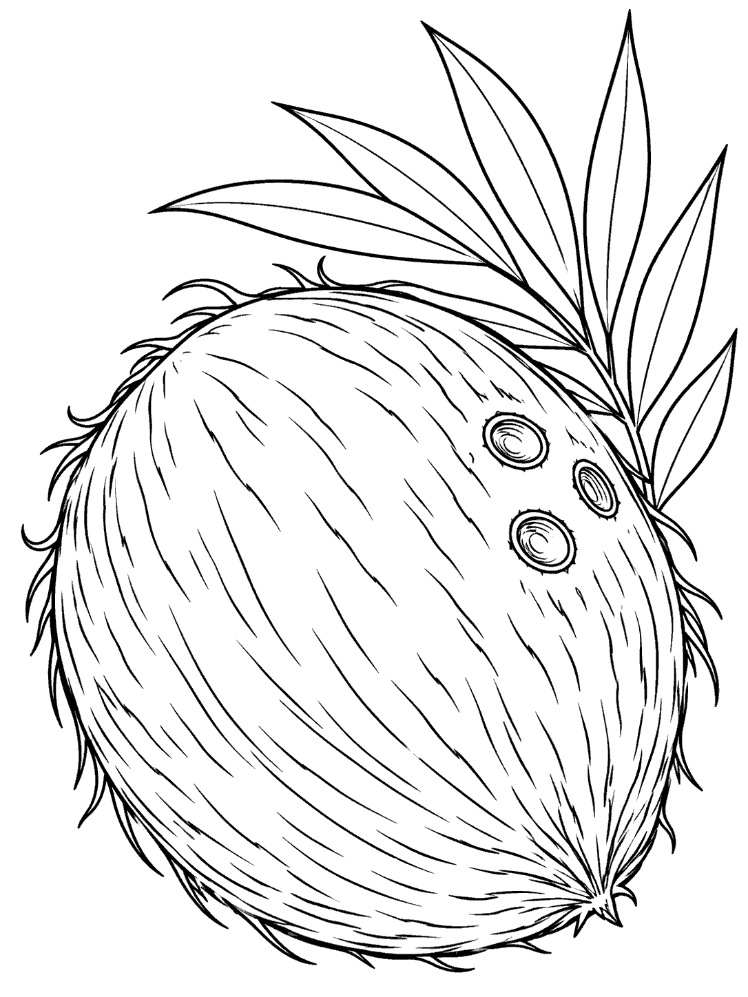 Whole coconut with a leafy sprig coloring page