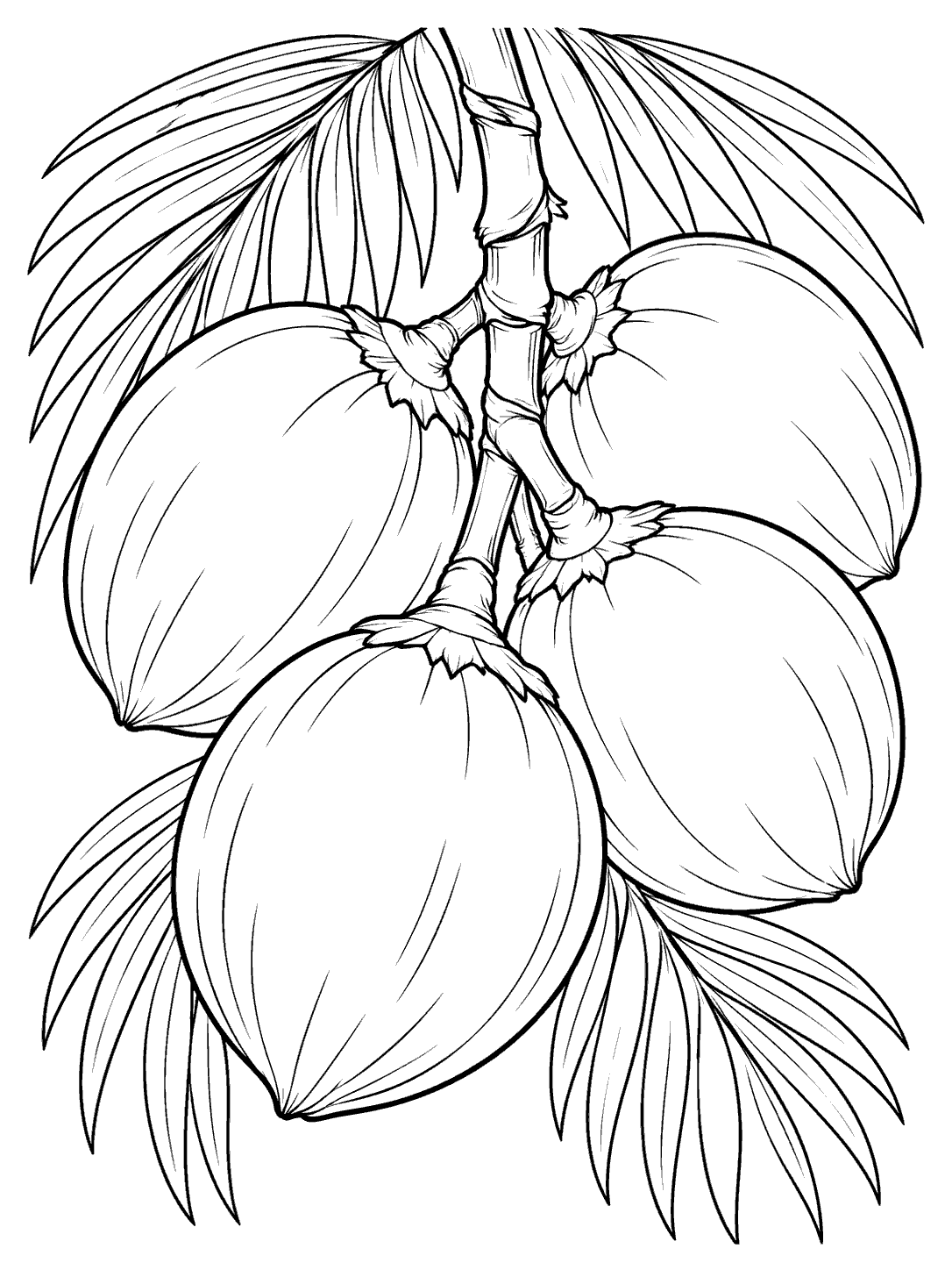 Black and white coconut cluster coloring page with four distinct coconuts and palm leaflets.