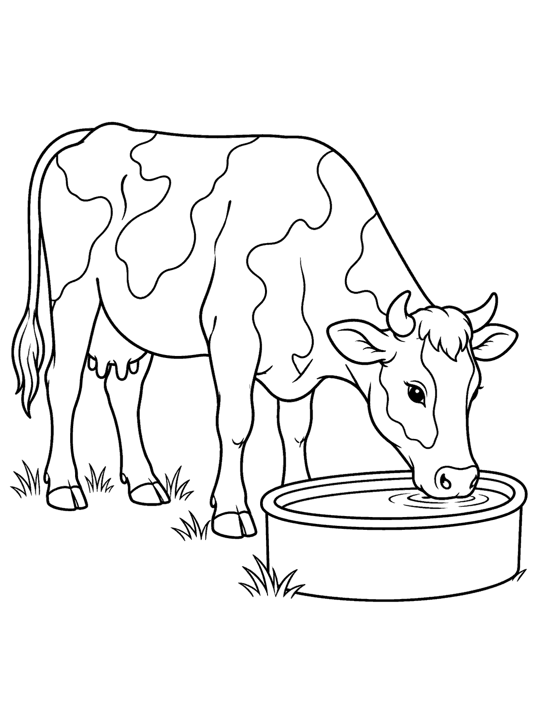 Cow coloring page with a curious cow leaning over a watering trough