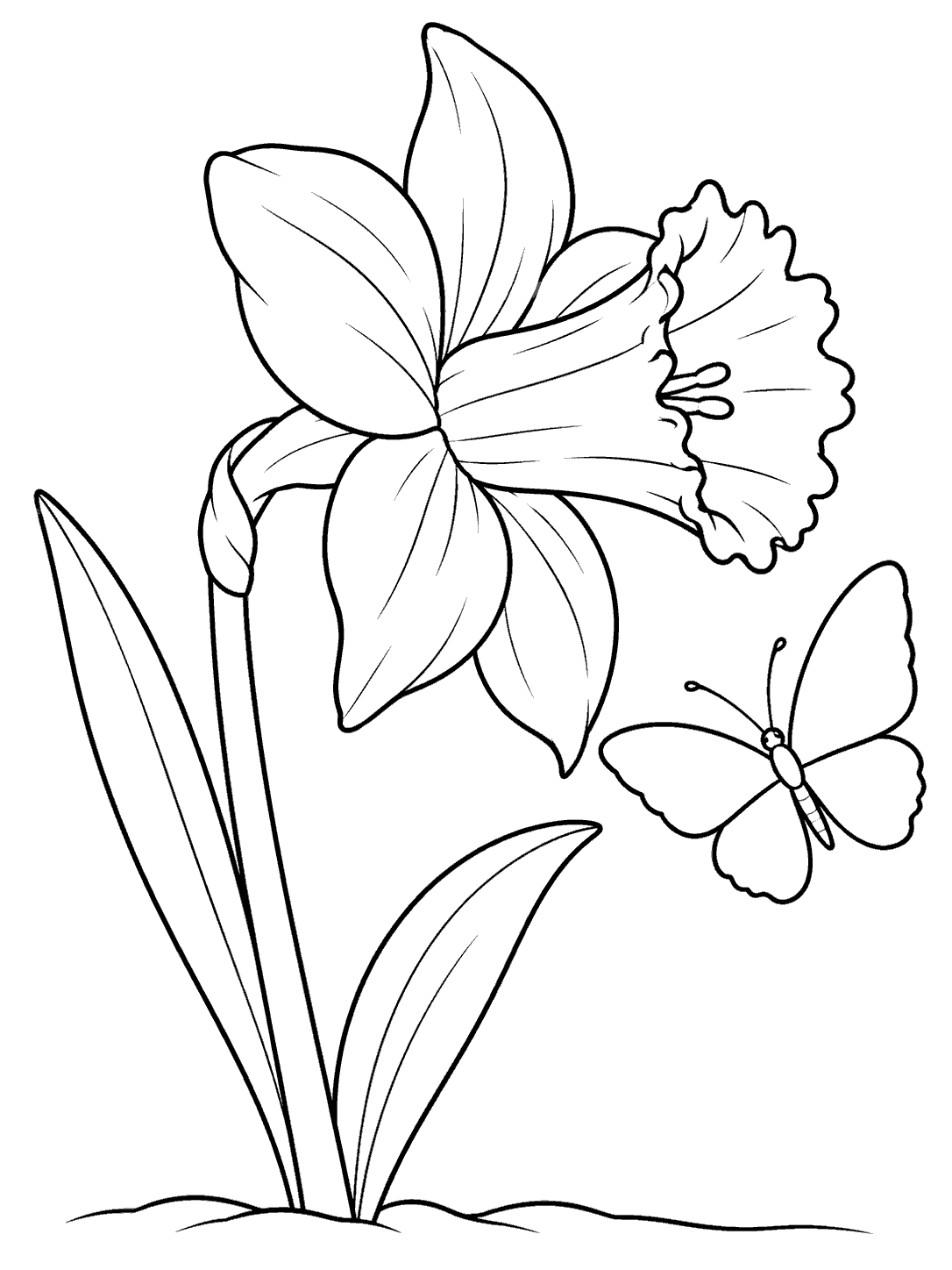 Daffodil coloring page with butterfly