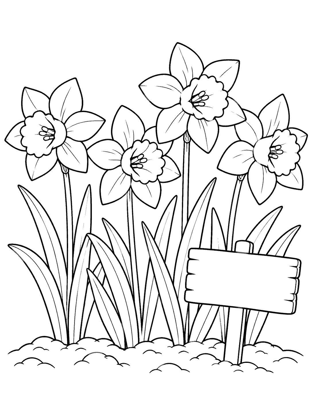 Daffodil coloring page with four outlined flowers, leaves, soil, and a blank garden stake sign
