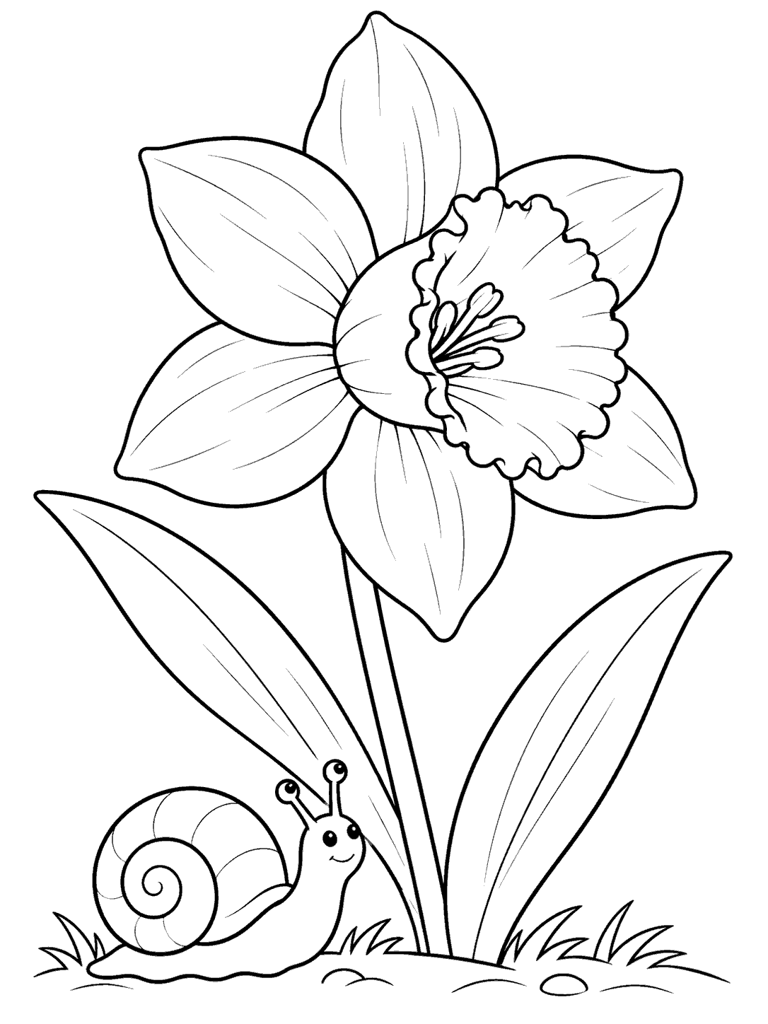 Daffodil coloring page showing one large flower, two broad leaves, and a friendly spiral-shelled snail at the base.