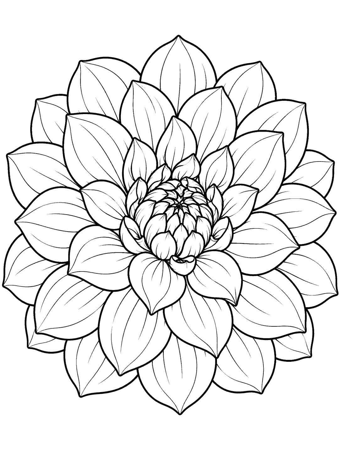 Close-up view of a dahlia with layered petals