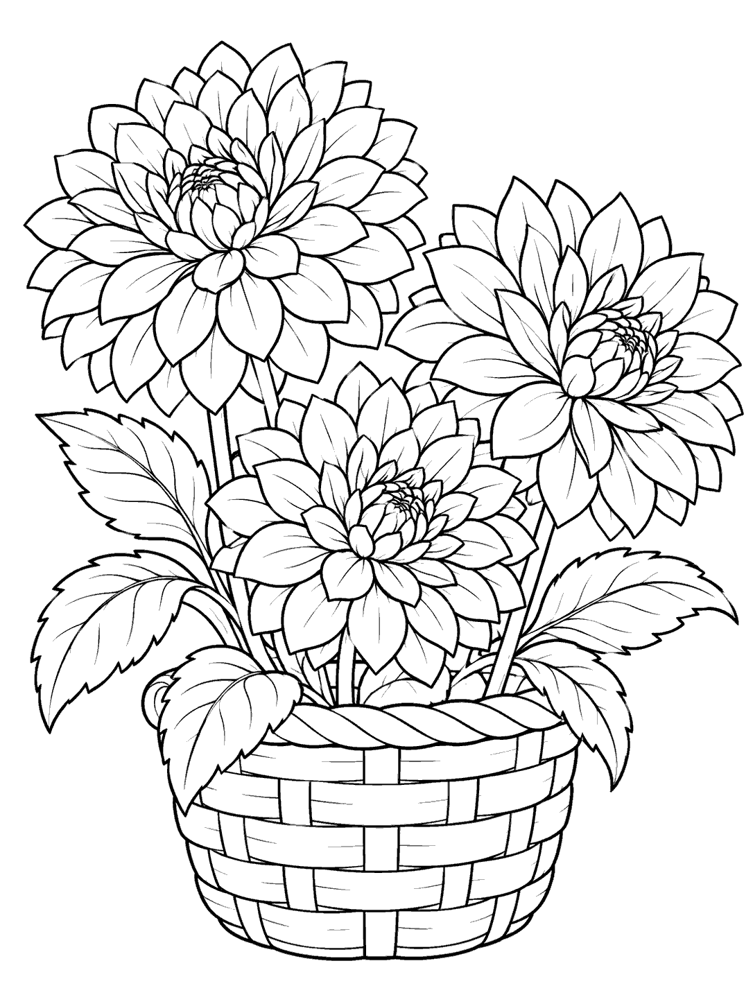 Three large dahlia blooms with leaves arranged in a woven basket, drawn as black outlines on a white page.