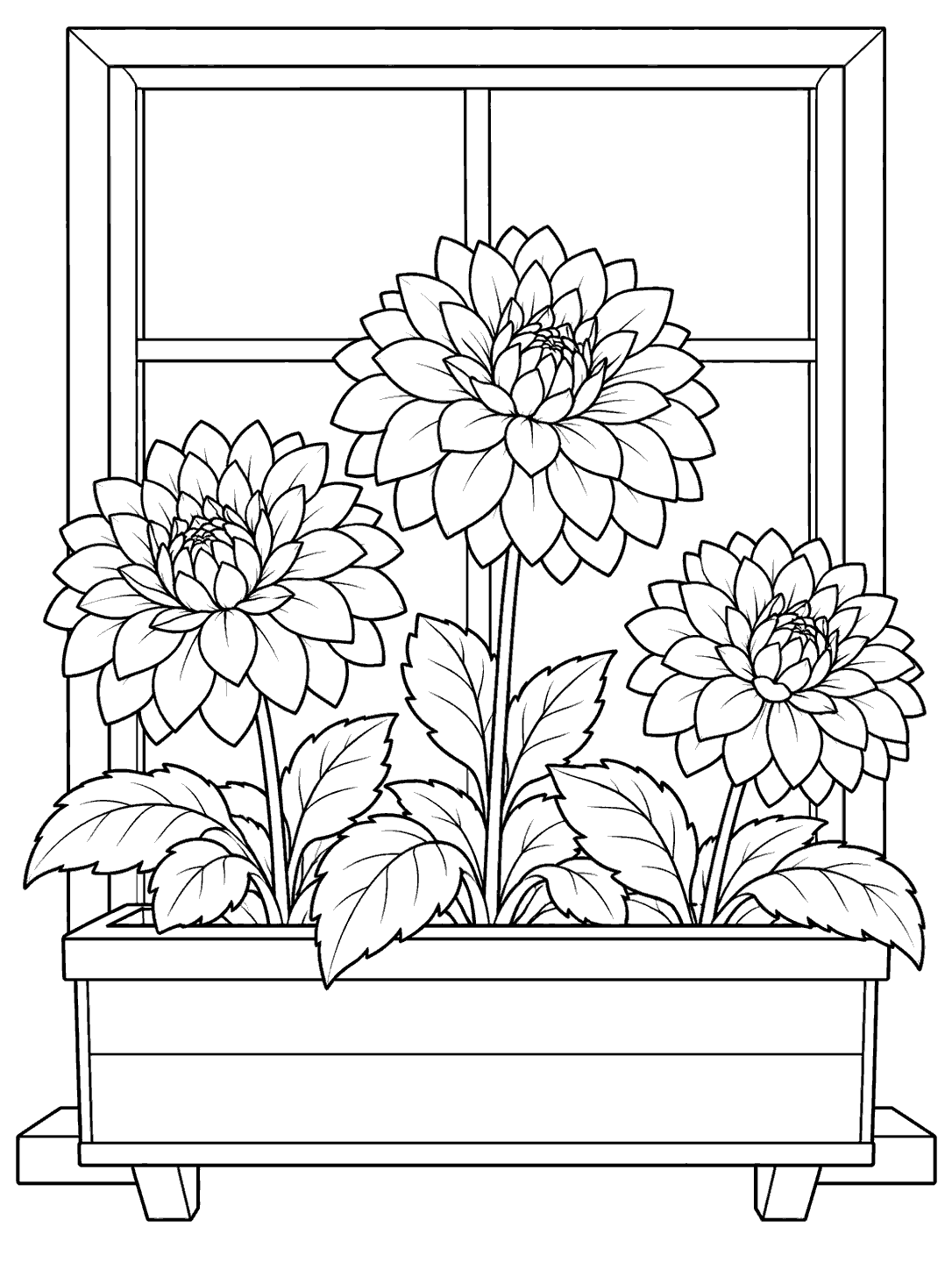 Black-and-white coloring page showing three dahlia flowers and broad leaves in a rectangular window box, with a plain window frame behind them.
