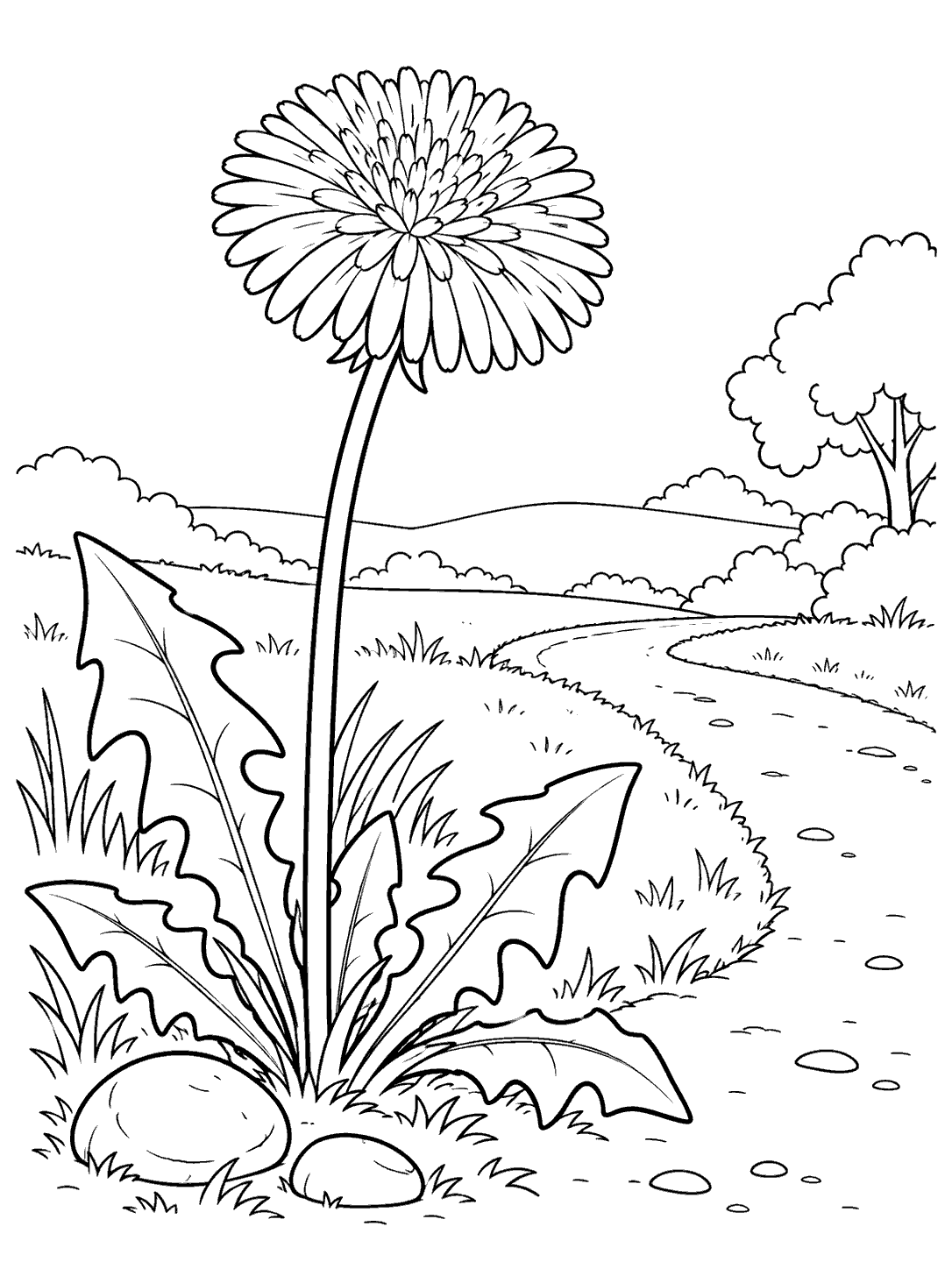 A large dandelion with broad low leaves and two stones beside a curved path, framed by sparse shrubs and a light horizon.