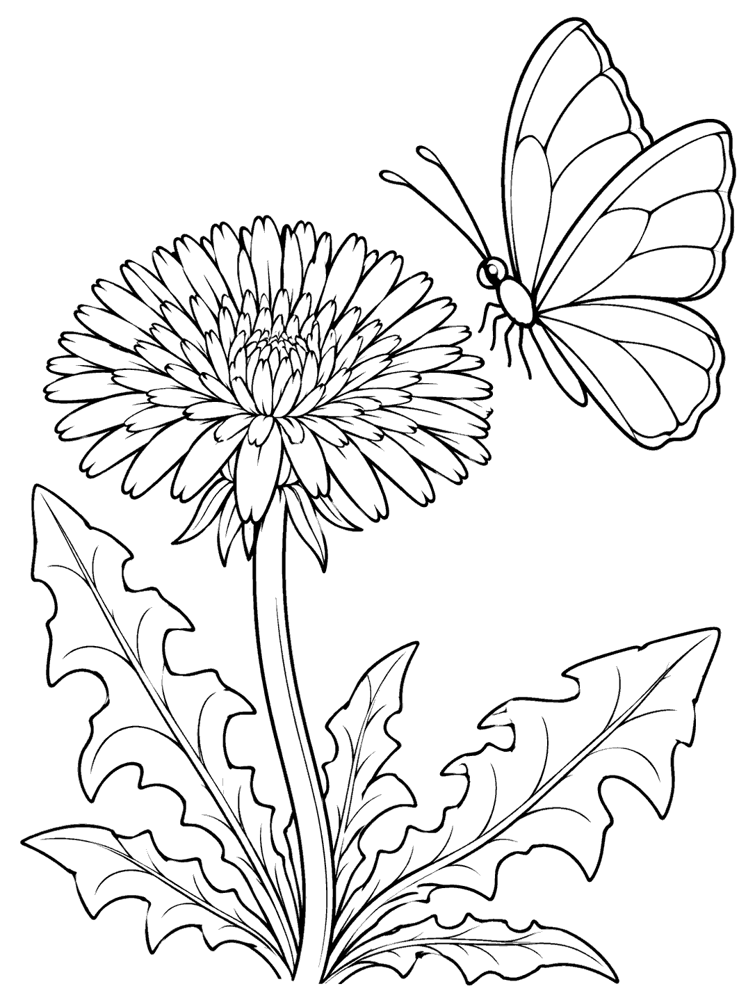 A large dandelion on a leafy stem beside a broad-winged butterfly.