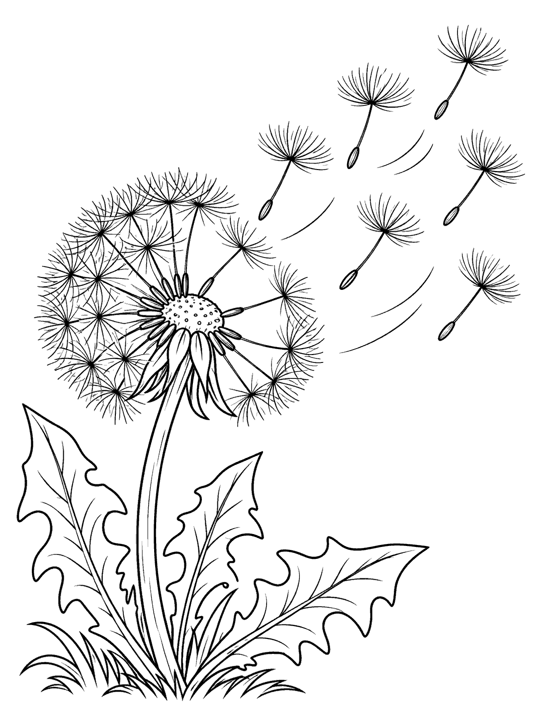 Black-and-white dandelion coloring page with a partly intact seed head, six drifting seeds, curved motion lines, a stem, and leaves.