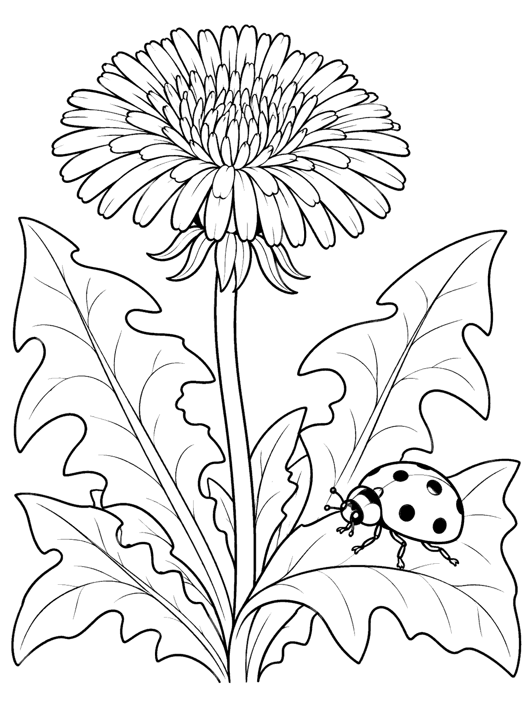 Black outline coloring page showing a large dandelion with broad leaves and a spotted ladybug on a foreground leaf.