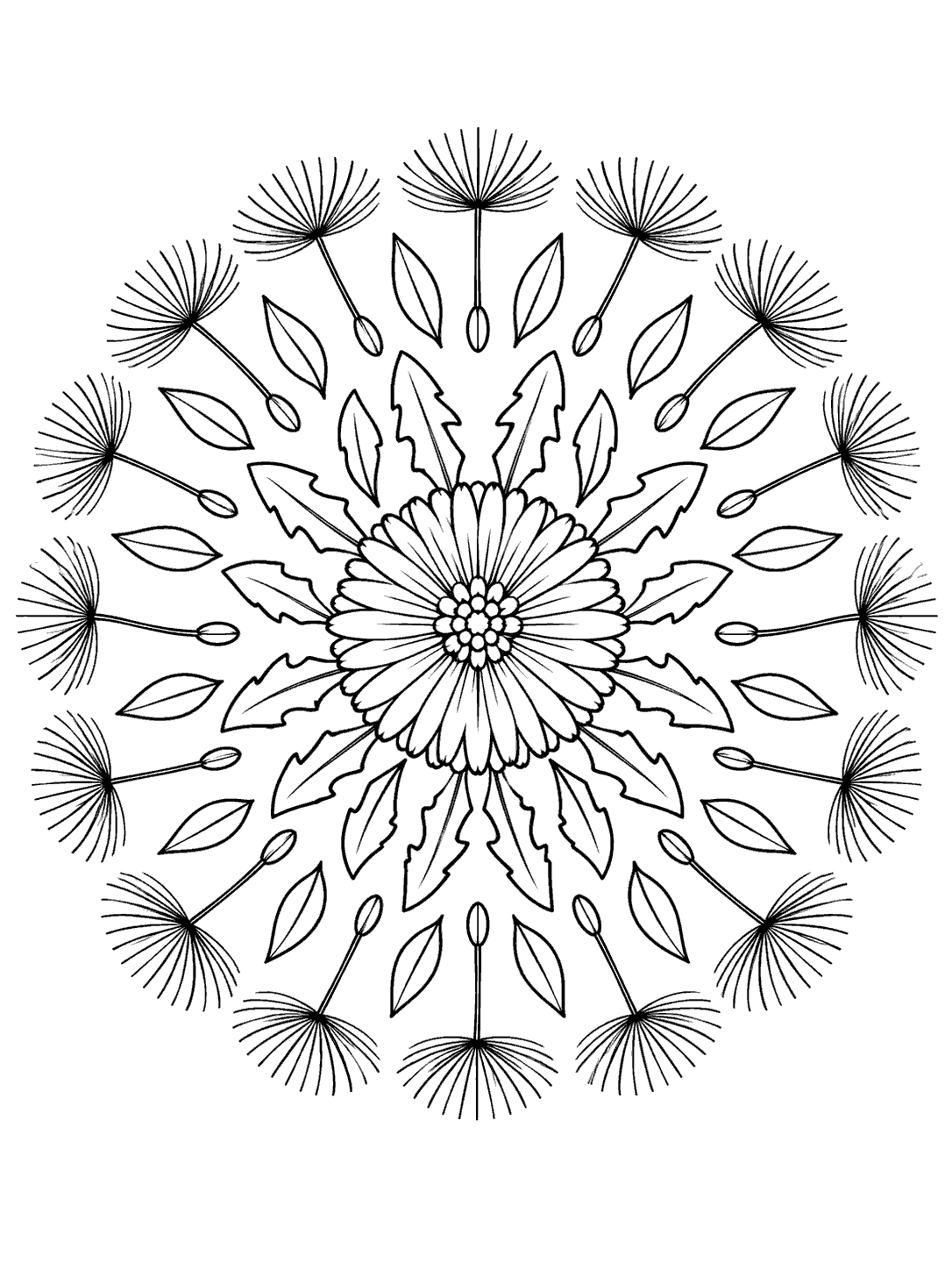Black outline mandala with a central flower, pointed leaves, and radiating dandelion seed heads.