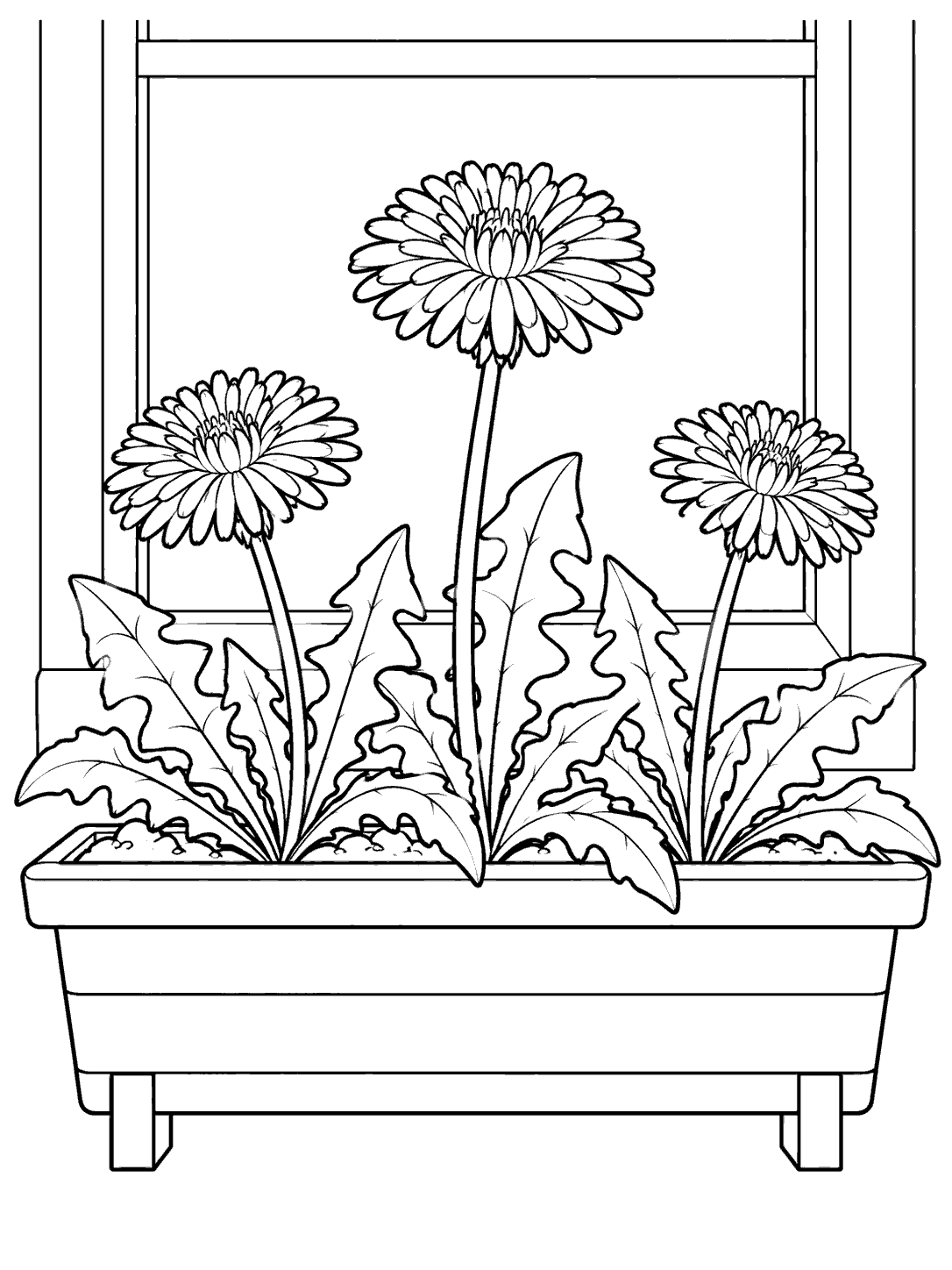 Three daisy-like dandelion blooms at different heights in a rectangular window box, with a simple window frame behind them.