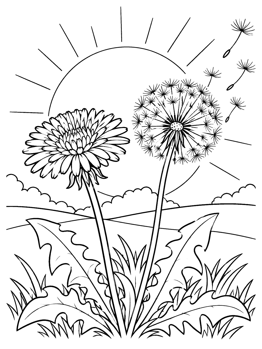 Black line-art dandelion flower and seed head with floating seeds, grass, and a large low sun.