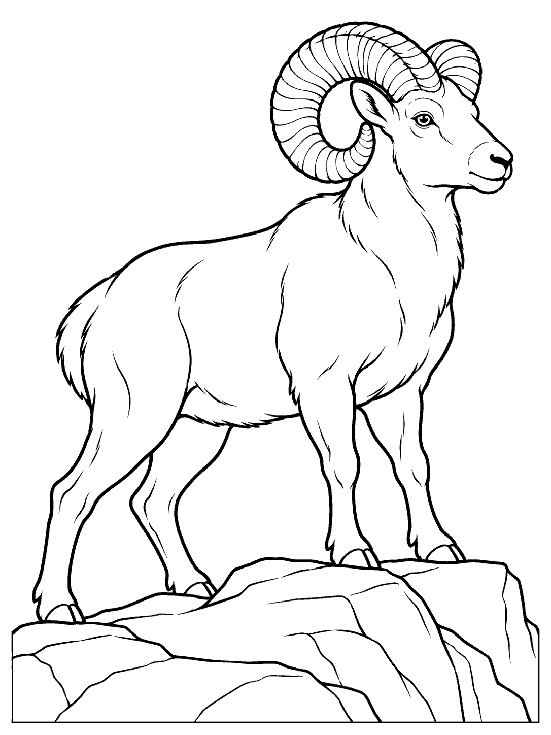 An adult bighorn sheep with large curled horns stands on a rocky ledge in a black-and-white coloring page.