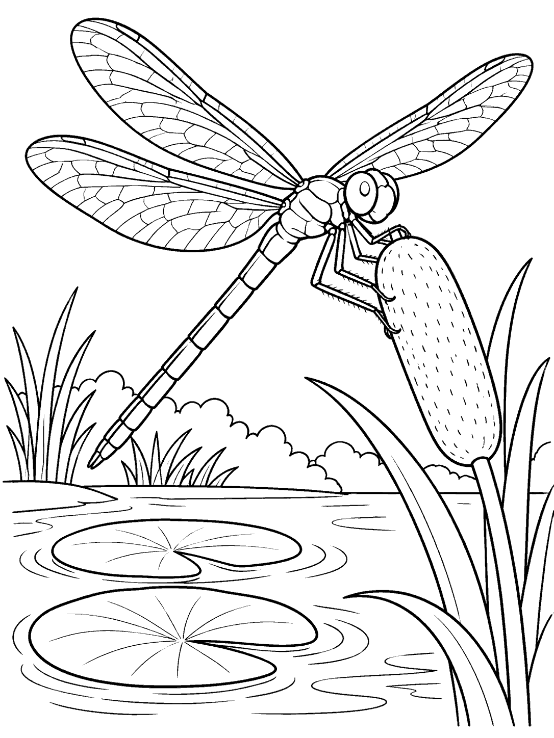 Dragonfly perched on a cattail above two lily pads, with pond ripples and reeds, in a coloring page