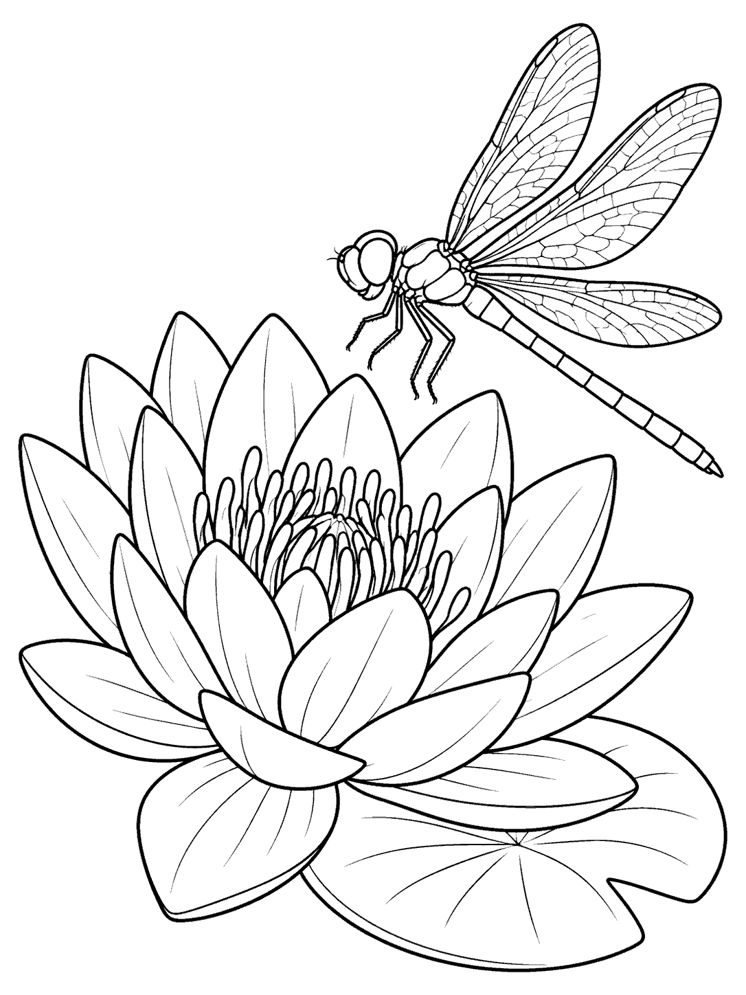 Black outline coloring page showing a dragonfly hovering beside a large water lily with a leaf at its base.