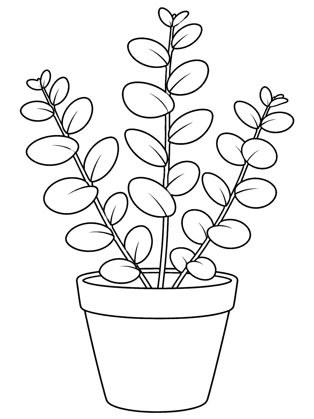 Black line art of a potted eucalyptus plant with three leafy stems.