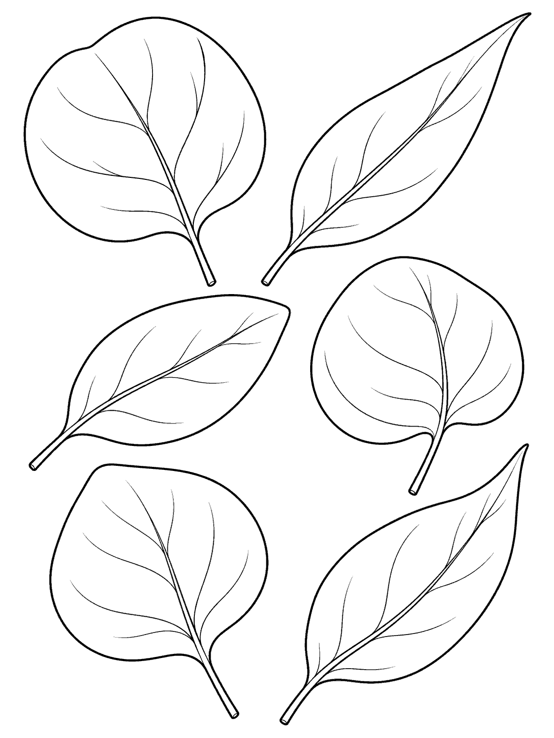 Printable eucalyptus coloring page with six individually outlined leaves, varied in shape and arranged on a white portrait page.