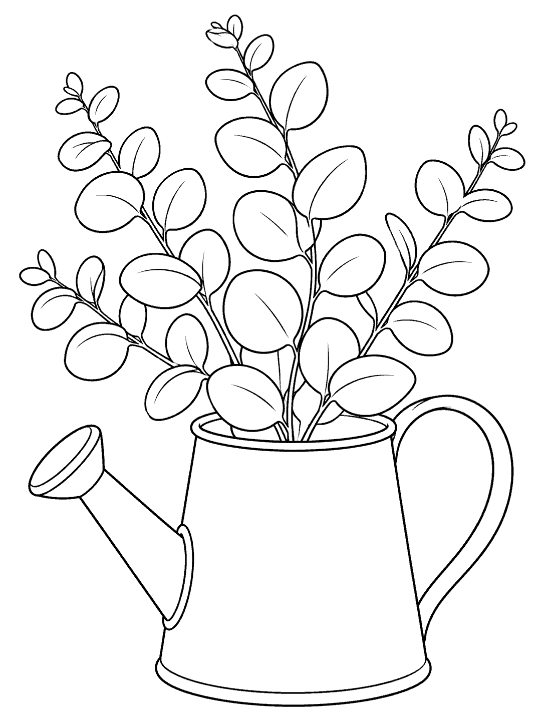 A eucalyptus plant with rounded leaves in an unadorned watering can, drawn in black outlines for coloring.