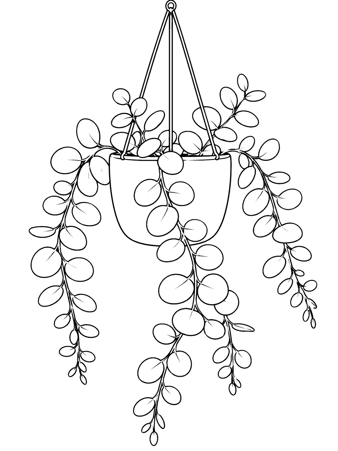 Black ink coloring page of a hanging planter with trailing eucalyptus branches and rounded leaves on a white background.