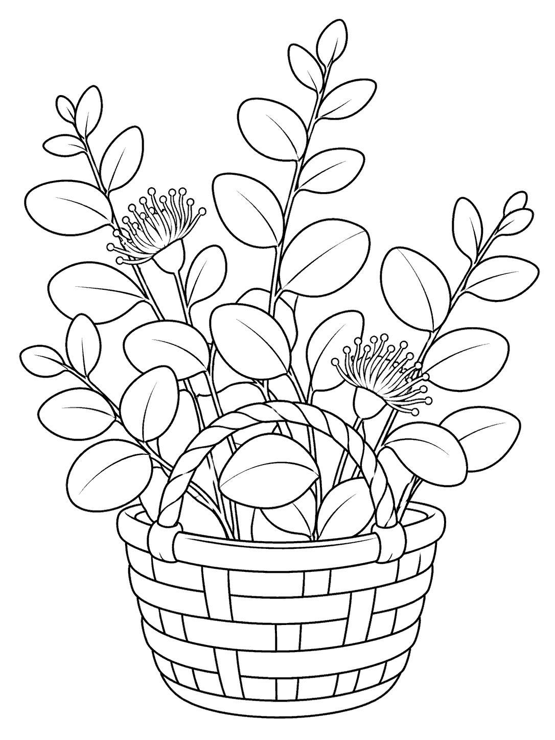 Black-outline eucalyptus sprigs with rounded leaves and two blossoms in a woven basket, on a white portrait page.