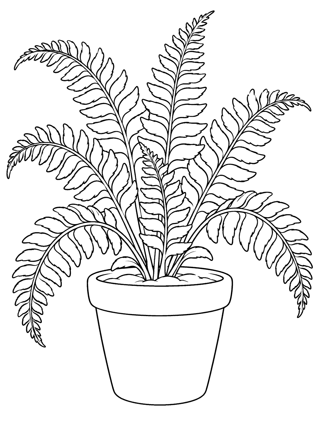 Black-outline coloring page of a potted fern with several arching fronds and open leaflets.