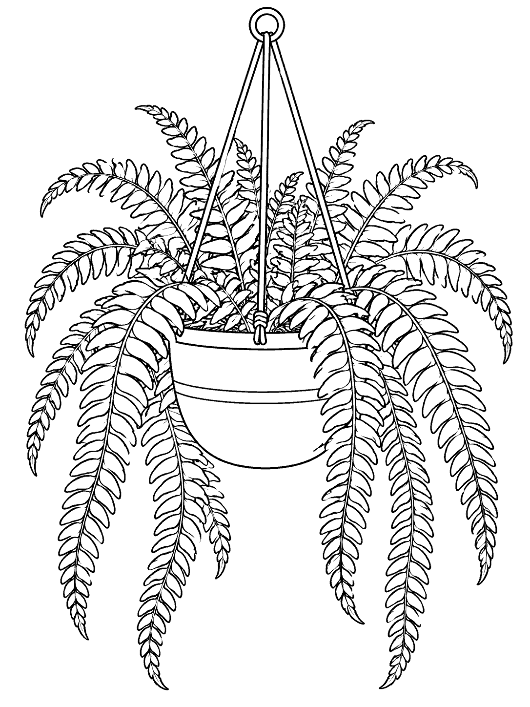 Black-outline coloring page of a hanging planter filled with cascading fern fronds and suspension cords.