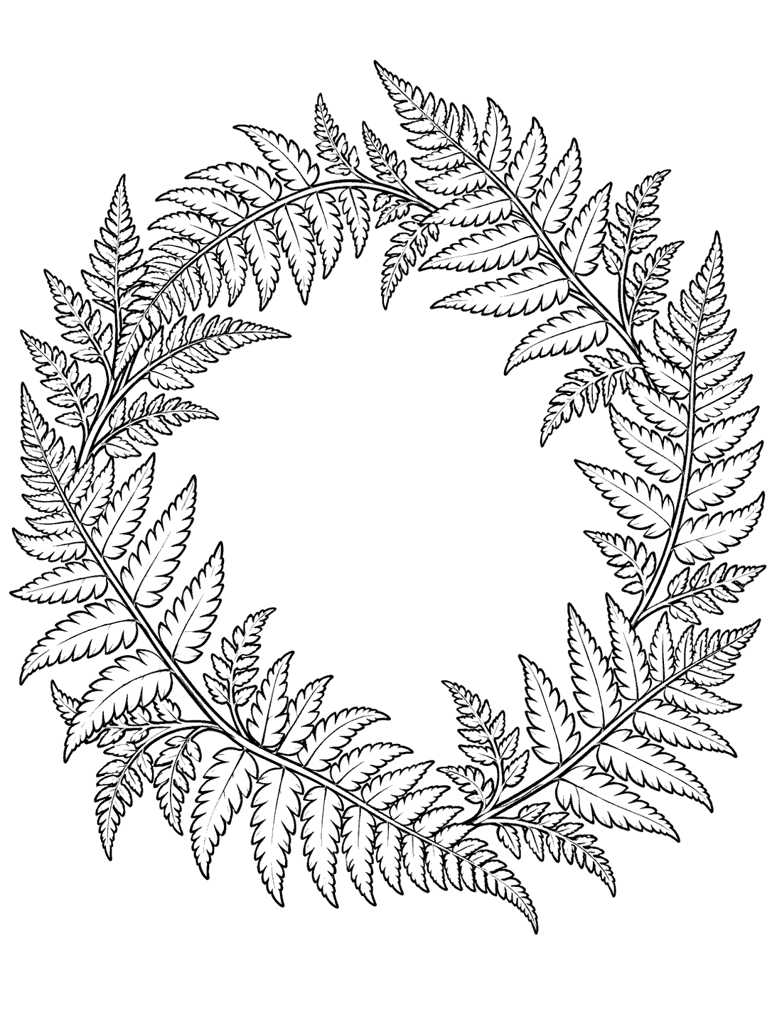Fern wreath coloring page with varied sprigs and a spacious open center.