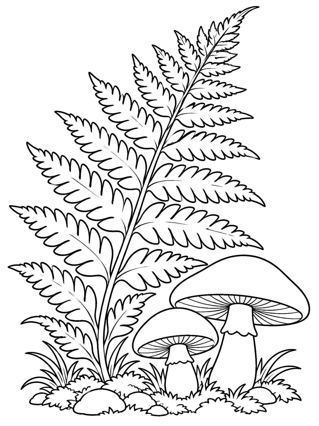 Black-outline coloring page with a large fern beside two woodland mushrooms and small ground plants.