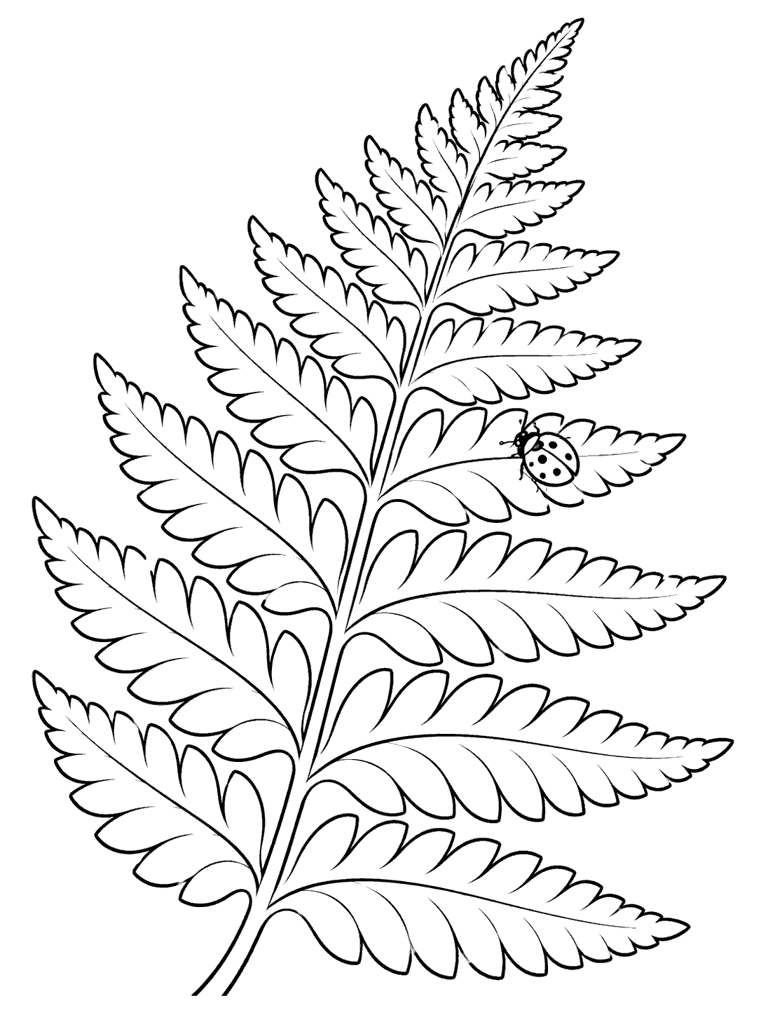 Black-outline coloring page showing a broad fern frond with a small ladybug on one leaflet.