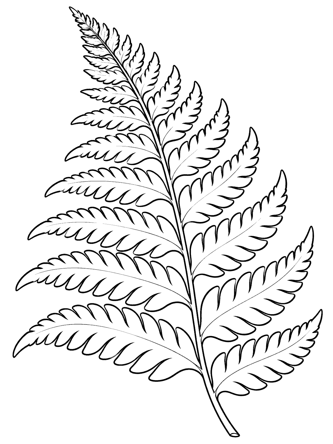 Black-outline coloring page of one large tropical fern frond with arching leaflets and a sturdy stem.