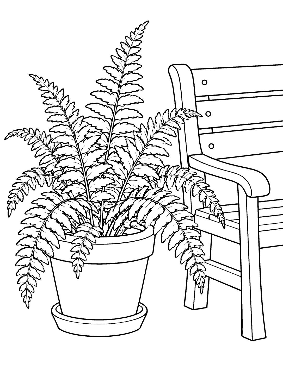 Black outline coloring page of a potted fern beside a garden bench