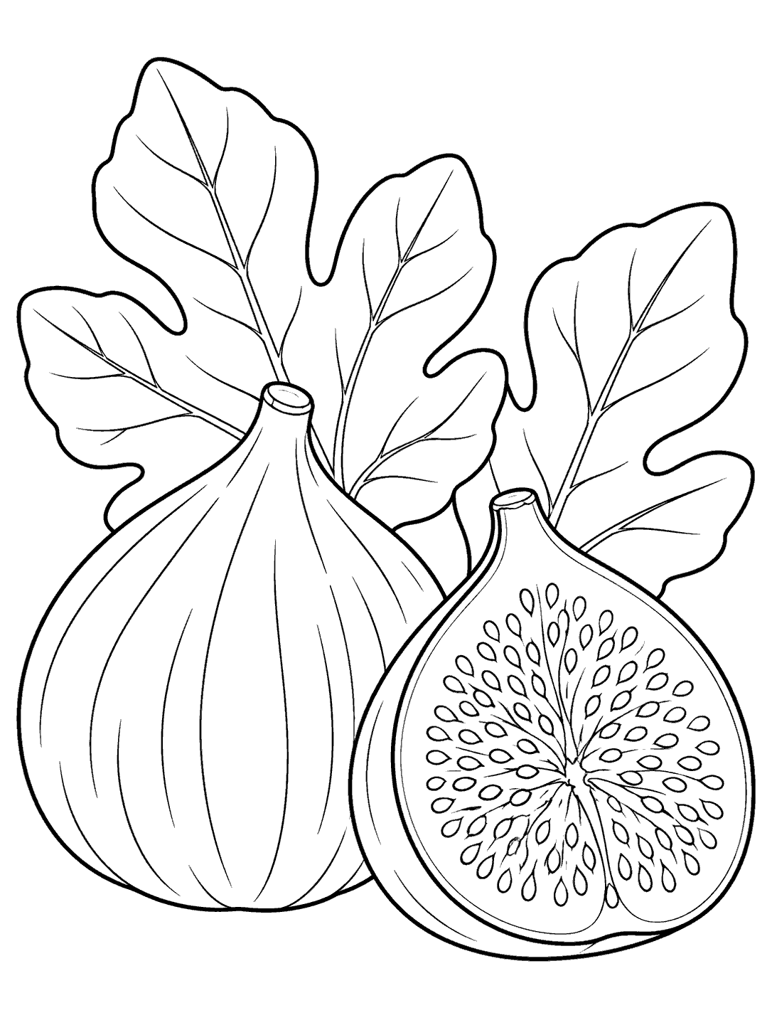 Black-outline coloring page of a whole fig and a cut fig with visible seeds and broad leaves.