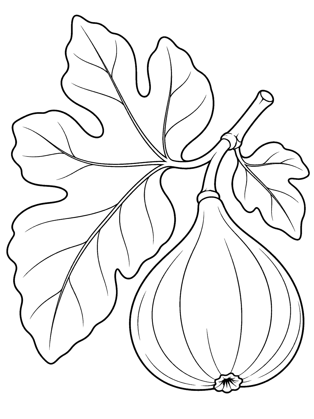 Oversized lobed fig leaf beside one ripe fig in black outline