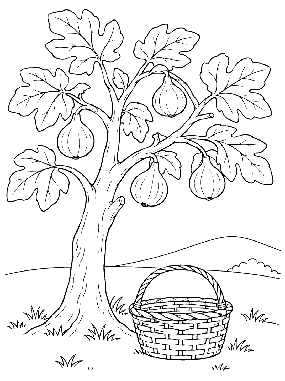 Black-and-white fig tree coloring page with four figs, a woven basket, a curved ground line, and a low hill.