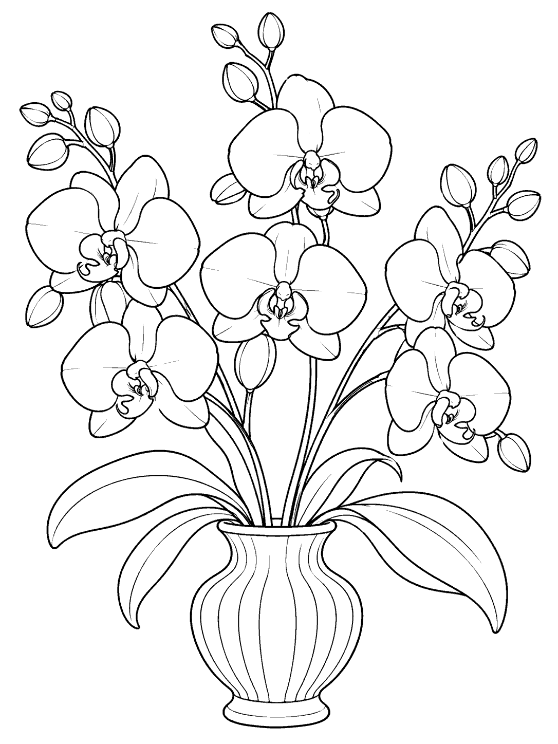 Black-outline coloring page showing orchid stems with flowers and unopened buds in a fluted vase.