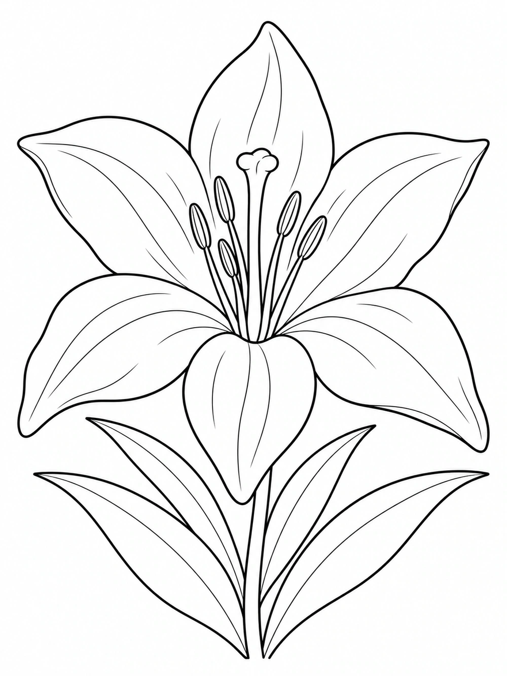 One open lily with six pointed petals, simple stamens, and long leaves.