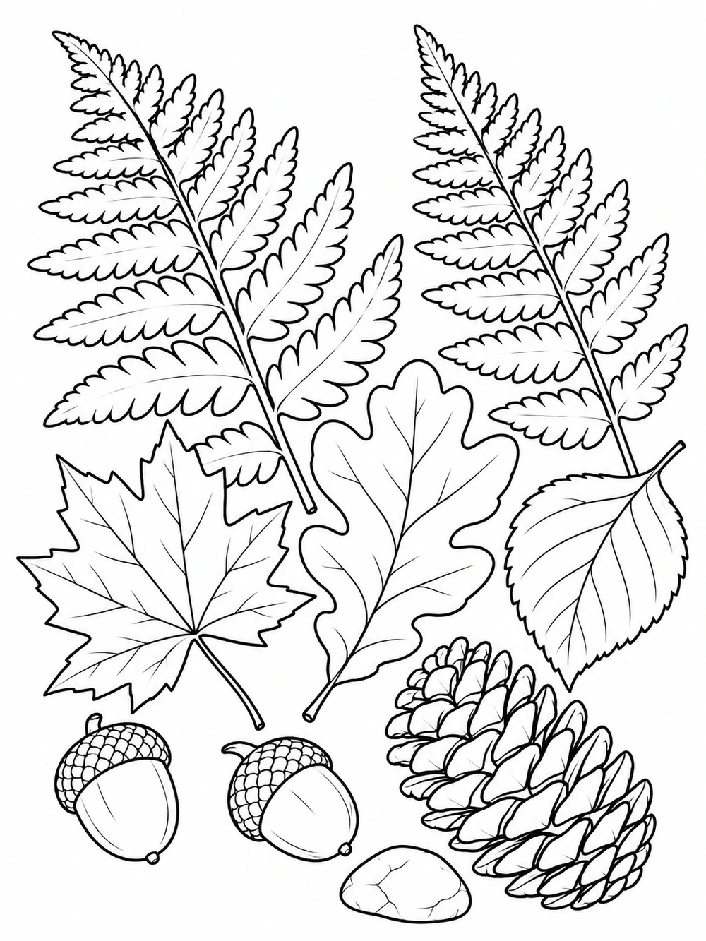 Black ink coloring page showing two fern fronds, three broad leaves, two acorns, one pinecone, and a small stone arranged on a white portrait page.