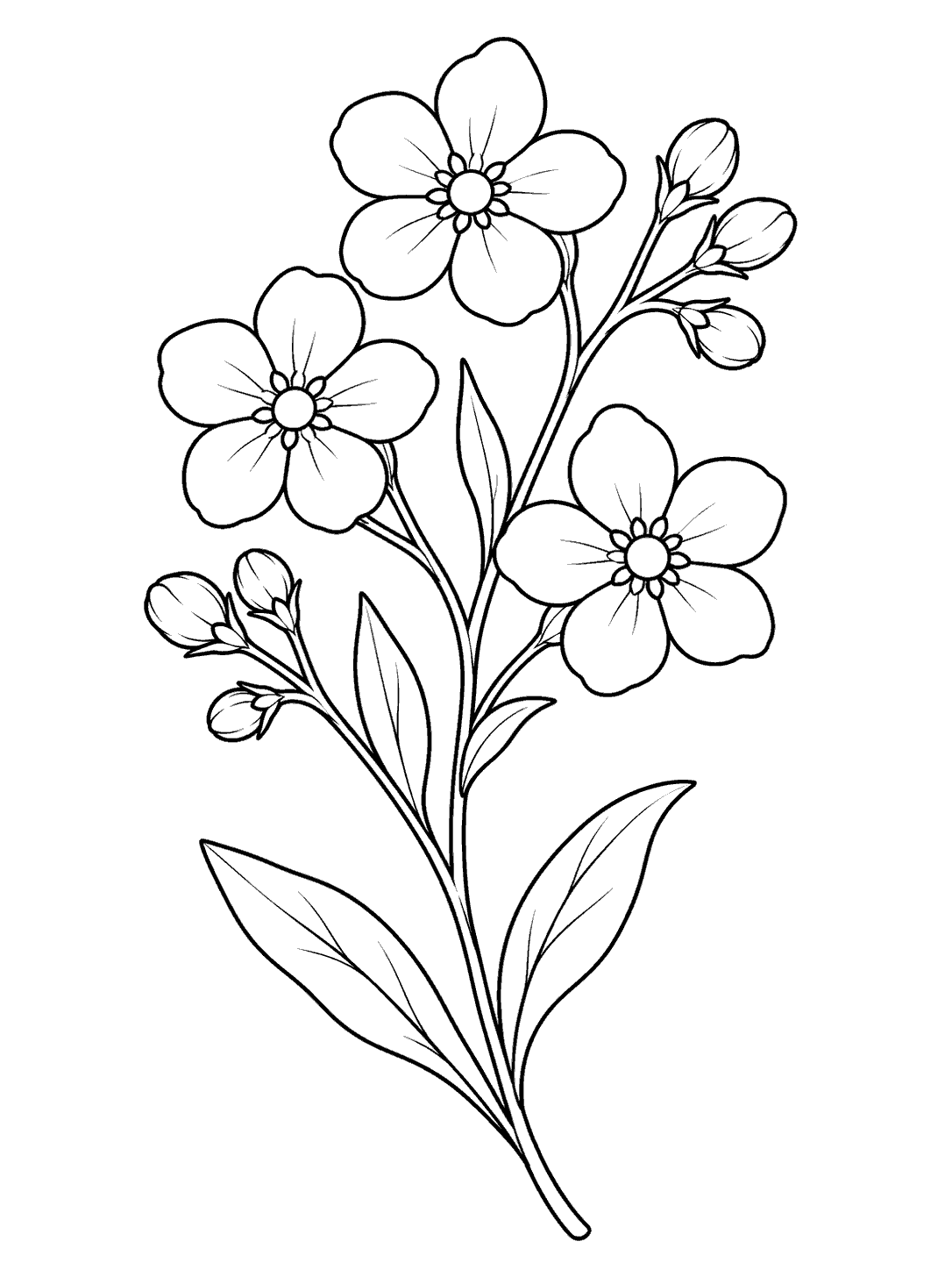 Black-outline coloring page of a forget me not sprig with three five-petal flowers, round buds, and narrow leaves.