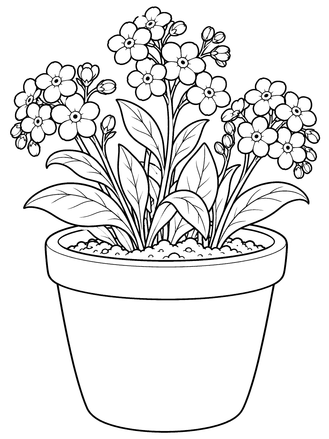 Black-and-white forget me not flowers, leaves, visible soil, and an unadorned rounded pot on a coloring page.