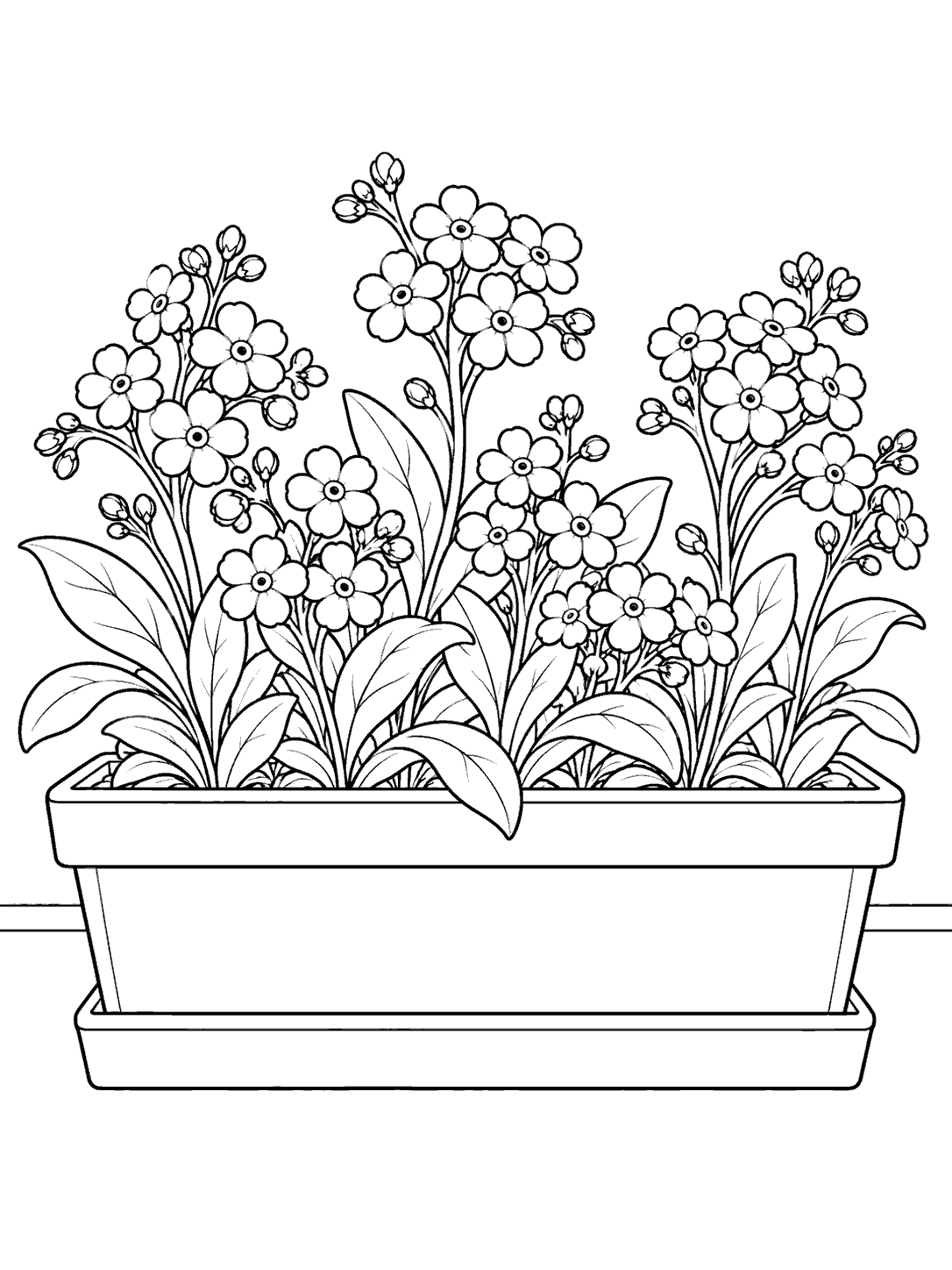 Forget me not blossoms, buds, and leafy stems growing in a rectangular window box.