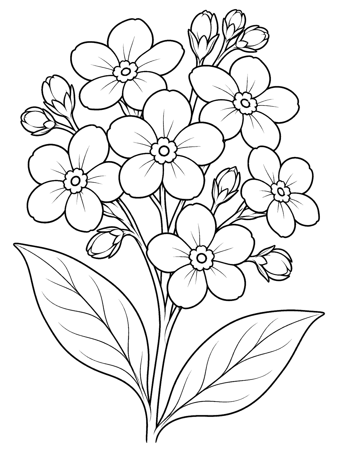 Black and white forget me not flower cluster coloring page with broad leaves