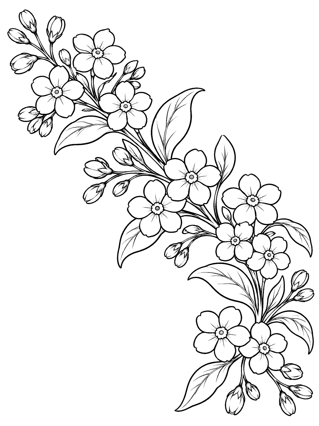 Forget me not blossoms, buds, and leaves form a sweeping diagonal garland on a portrait coloring page.