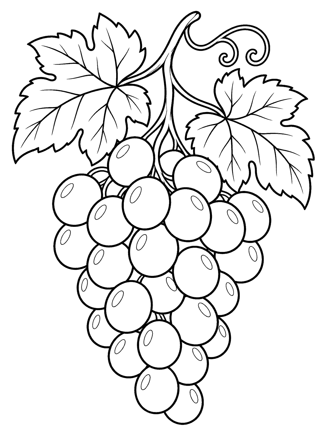 A hanging bunch of round grapes beneath two broad leaves and curling tendrils.