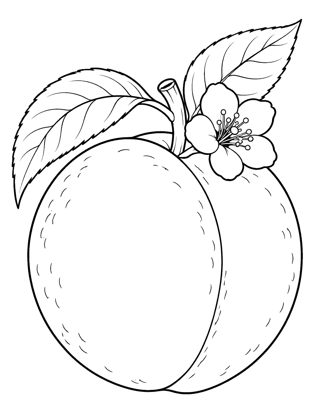 A large round peach with a clear central crease, short stem, two veined leaves, and a small blossom, drawn in black outline on white.