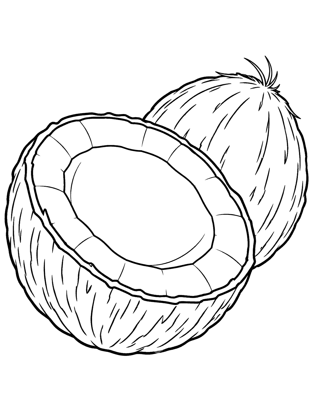 Large halved coconut with a clearly outlined flesh ring beside a whole husked coconut, in black line art on white.