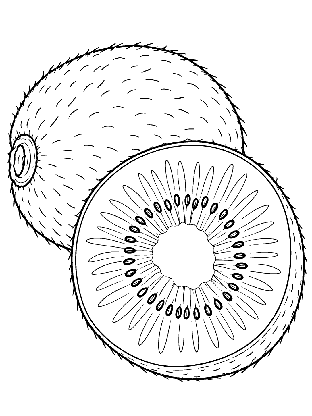 Large kiwi cross-section with a ring of outlined seeds and a whole fuzzy kiwi behind it.