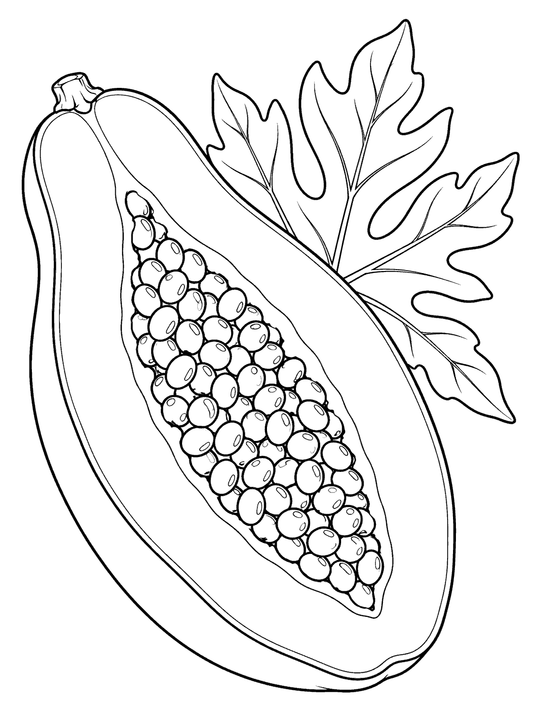Lengthwise papaya half with outlined seeds and a large leaf behind it